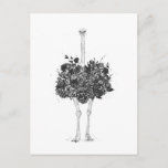 Floral Ostrich Postcard at Zazzle