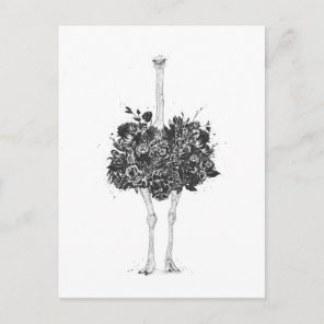 Floral ostrich postcard