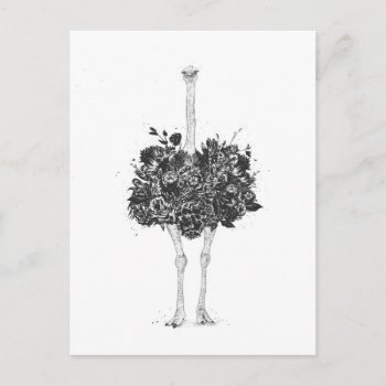 Floral Ostrich Postcard by bsolti at Zazzle
