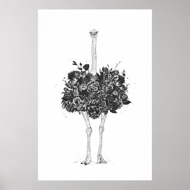 Floral ostrich poster (Front)