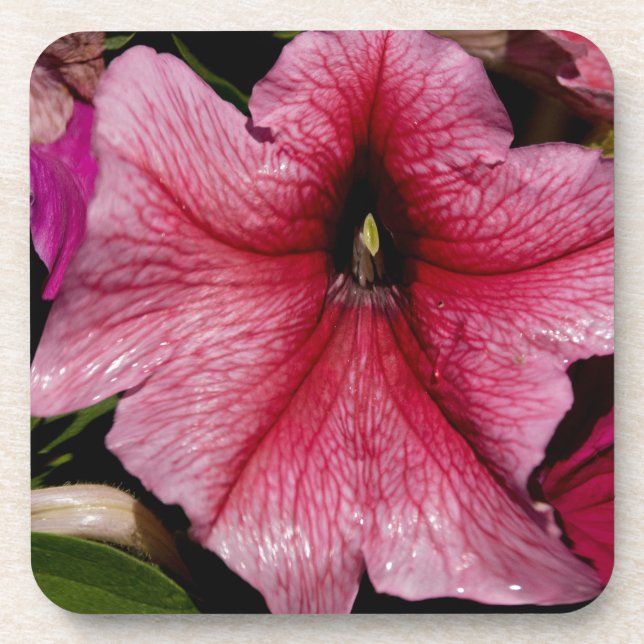Floral Outburst Beverage Coaster (Front)