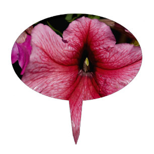 Floral Outburst Cake Topper