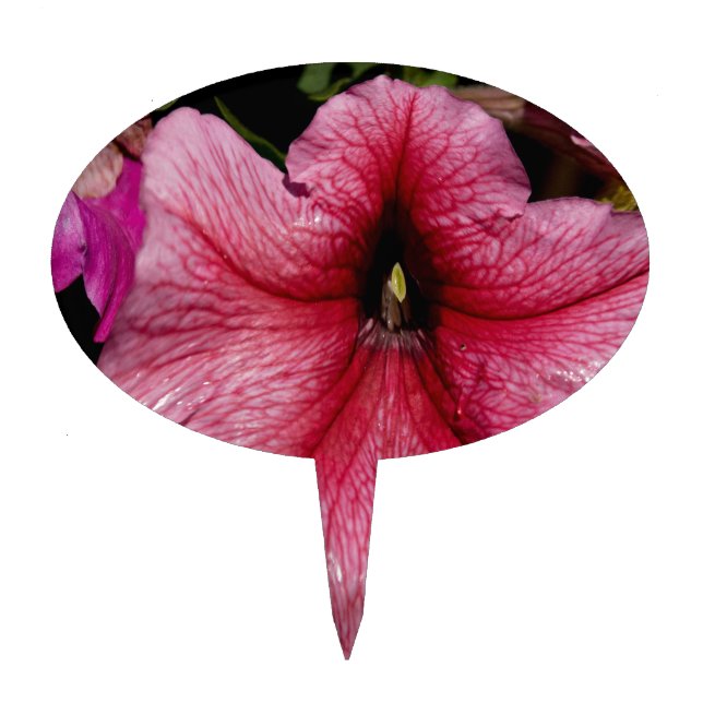 Floral Outburst Cake Topper (Front)