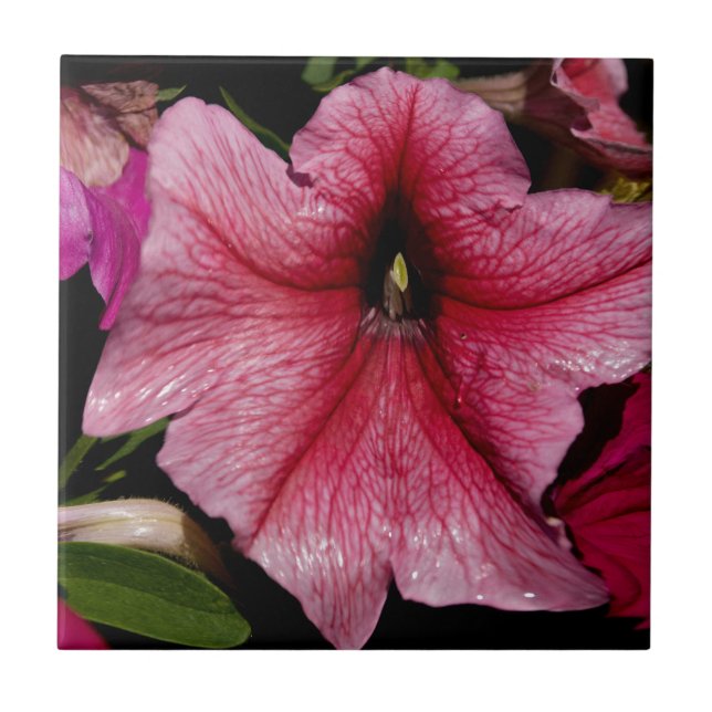 Floral Outburst Ceramic Tile (Front)