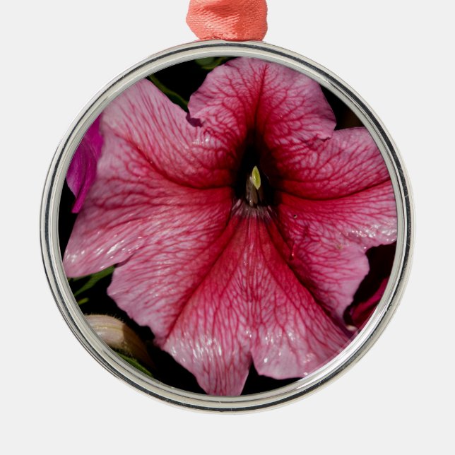 Floral Outburst Metal Ornament (Front)