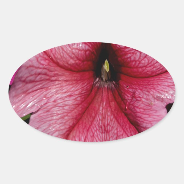 Floral Outburst Oval Sticker (Front)