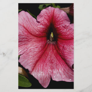 Floral Outburst Stationery