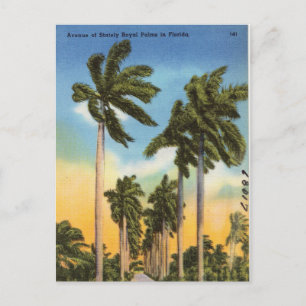 Floral Palm Trees Vintage Florida Postcard