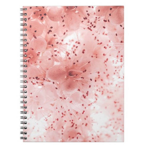 Floral Pastel Abstract Soft Banner Notebook