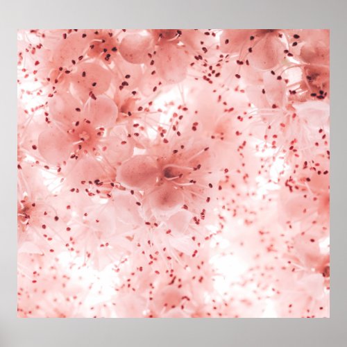 Floral Pastel Abstract Soft Banner Poster