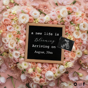 Floral Pastel Baby Reveal pregnancy announcement 