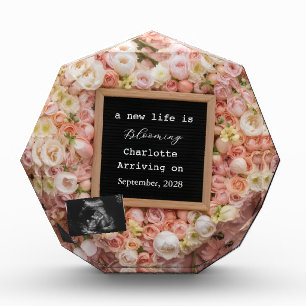 Floral Pastel Baby Reveal pregnancy announcement  Photo Block