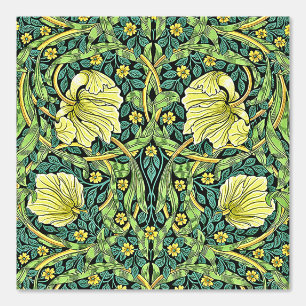Floral Pattern Golden Tulip Pimpernel and Foliage  Wallpaper