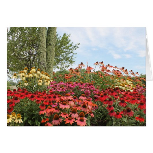 Floral Peace Cards (Front Horizontal)