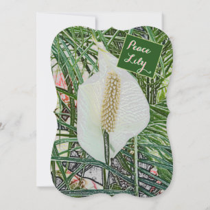 FLORAL/PEACE LILY/ "BLESSED ARE THE. PEACEMAKERS"