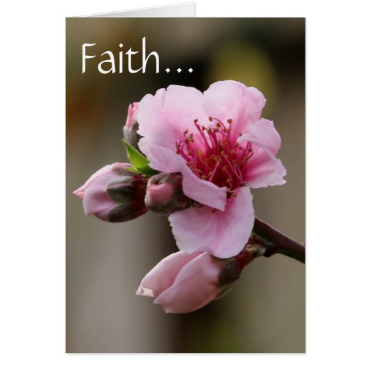 Floral, Peach Blossom w/ Scripture verse on Faith Cards (Front)