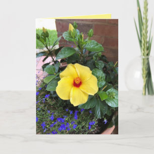 "Floral Photo" Blank Greeting Card
