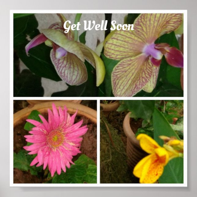 Floral Photo Collage Poster (Front)