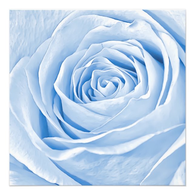 Floral Photo Dainty Light Blue Rose (Front)