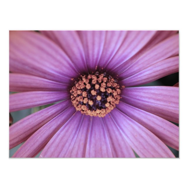 floral photo print (Front)