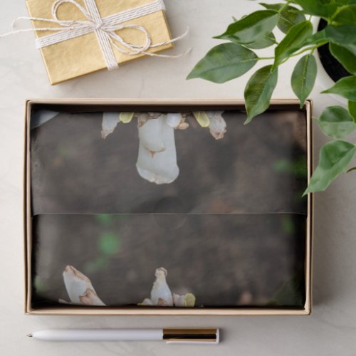 Floral Photo Tissue Paper