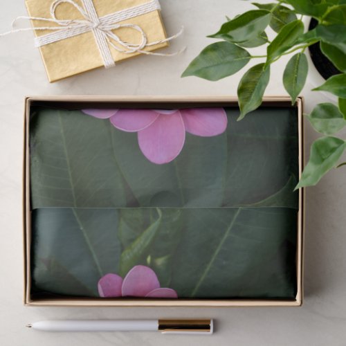 Floral Photo Tissue Paper