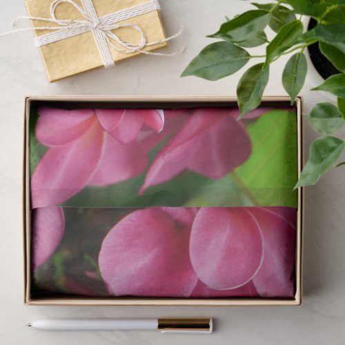 Floral Photo Tissue Paper