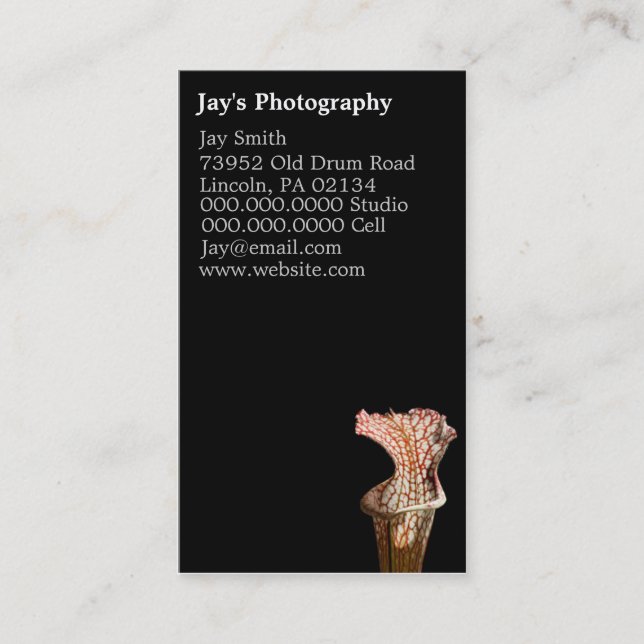 Floral Photography Business Cards (Front)