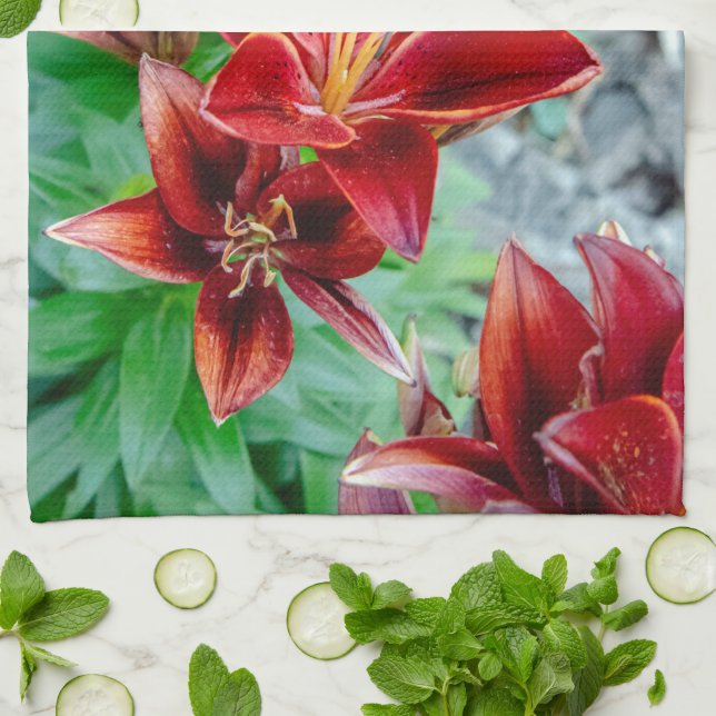 Floral Photography, Red Stargazer Lily Kitchen Towel (Folded)