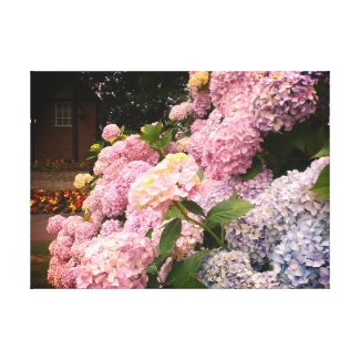Floral Photography Wall Art Print