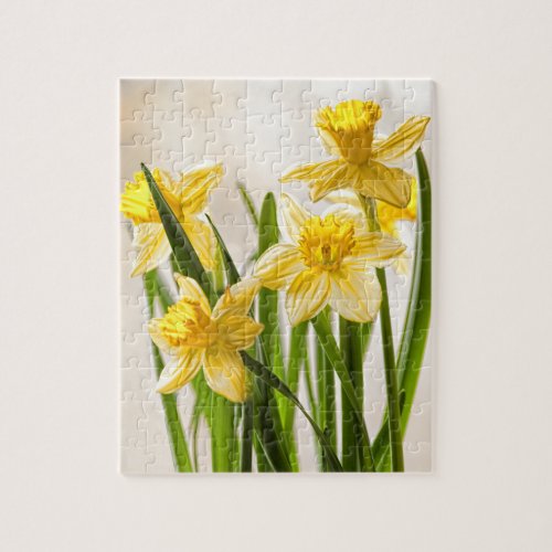 Floral Photography  Yellow Spring Daffodils Jigsaw Puzzle