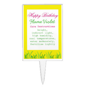 Floral Pick show Plant type and care instructions