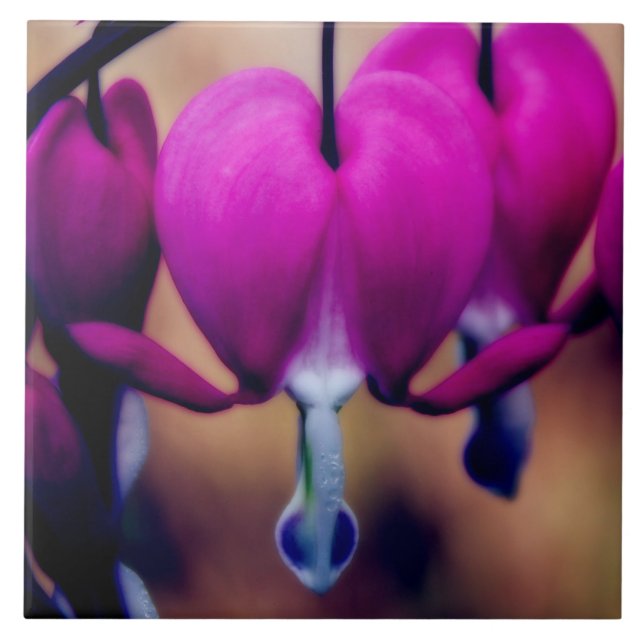 Floral Pink Bleeding Hearts Ceramic Tile (Front)