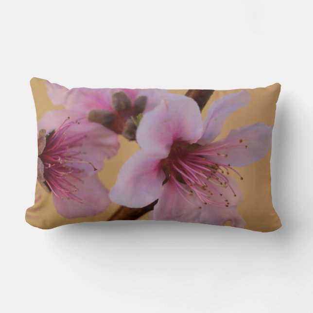 Floral, Pink Blossoms on Golden Tan Back Lumbar Pillow (Front)