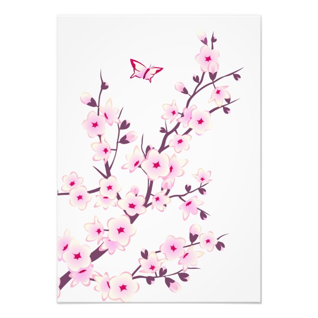 Floral Pink Cherry Blossoms Photo Print (Front)