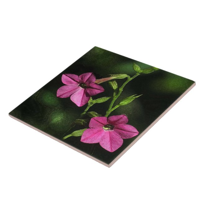 Floral Pink Nicotiana Flowers Ceramic Tile