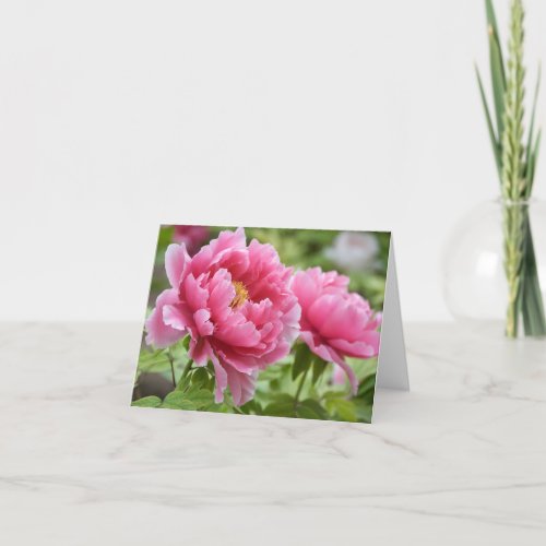 Floral Pink Peonies Flower Blank Thank You Card