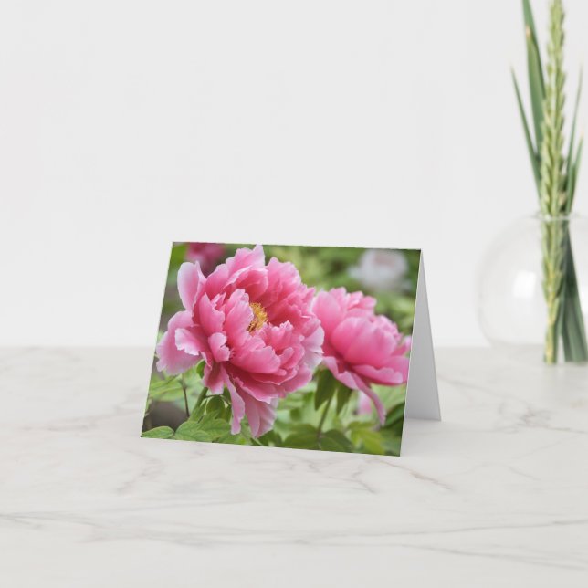 Floral Pink Peonies Flower Blank Thank You Card (Front)