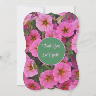 FLORAL/PINK PETUNIAS/THANK YOU/CUSTOMIZABLE