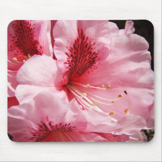 Floral Pink Rhodies mousepad Gorgeous Mom gifts