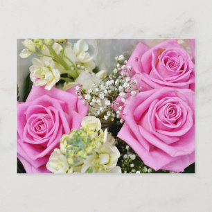 Floral Pink Rose Flower Blank Postcard