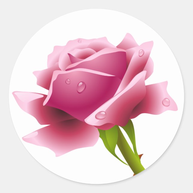Floral Pink Rose Flower Sticker / Seal (Front)