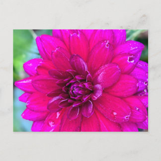 Floral Postcard