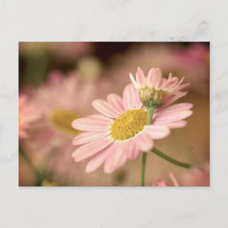 Floral Postcard