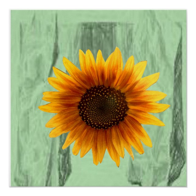 Floral Poster Sunflower (Front)