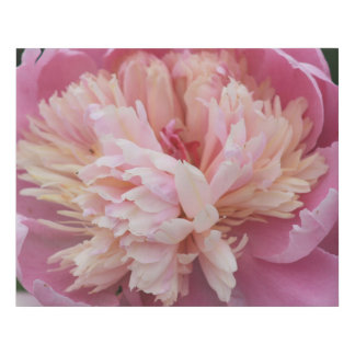 Floral - Puffy Pink Faux Canvas Print
