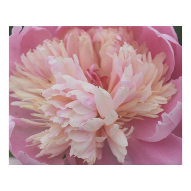 Floral - Puffy Pink Faux Canvas Print (Front)