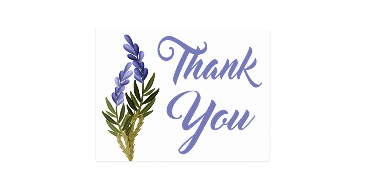 Floral Purple Thank You Lavender Flower Note Card | Zazzle.com