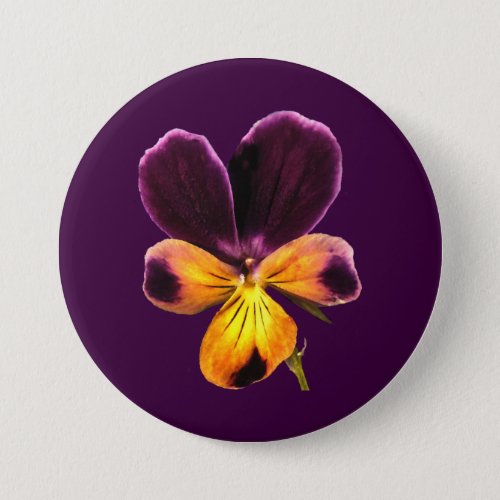 Floral Purple Yellow Pansy Flower Button