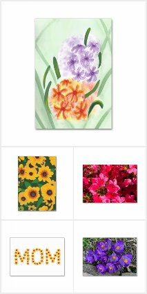 Floral Reading Flashcards